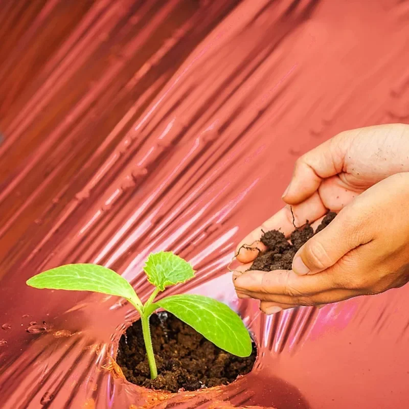 

【2 pcs】Red Agricultural Mulching Film - Heavy Duty Garden Plastic for Potato, Tomato & Strawberry Beds