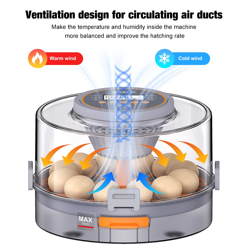 2025年自動12個回転式湿度制御孵卵器（ペット用品）
