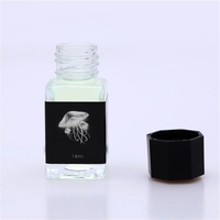 Funny Invisible Ink with UV Light Colored Disappearing Ink 18ml Bottled for Glass Fountain Dip Pen Feather Pen