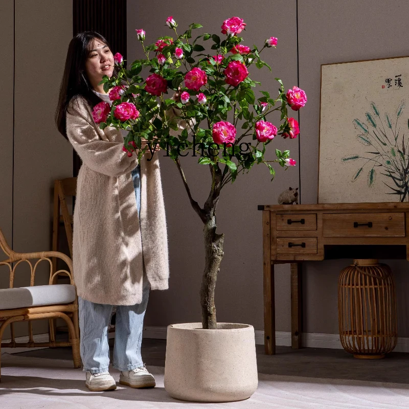 Zc Premium Rose Cam…