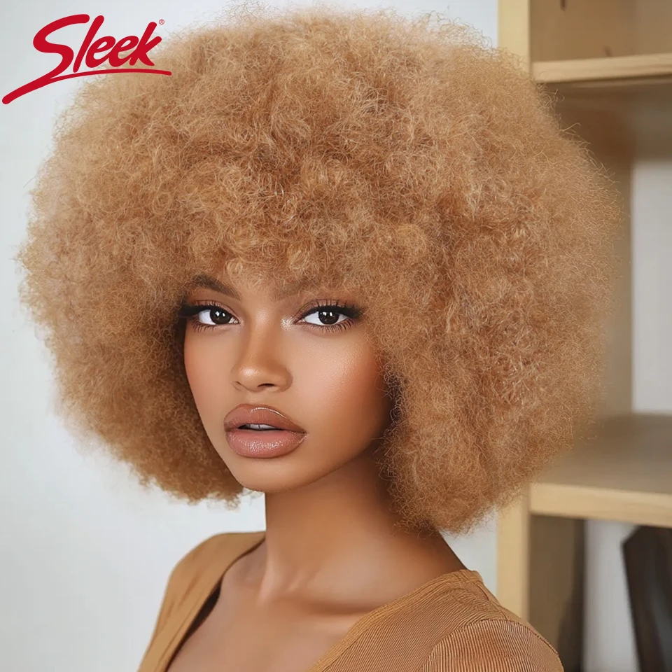 Sleek 27 Brown Colored Human Hair Wigs For Women Afro Kinky Bulk Hair Wigs 12 Inch Short Colored 100% Real Brazilian Hair Wigs