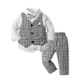 2543 grey
