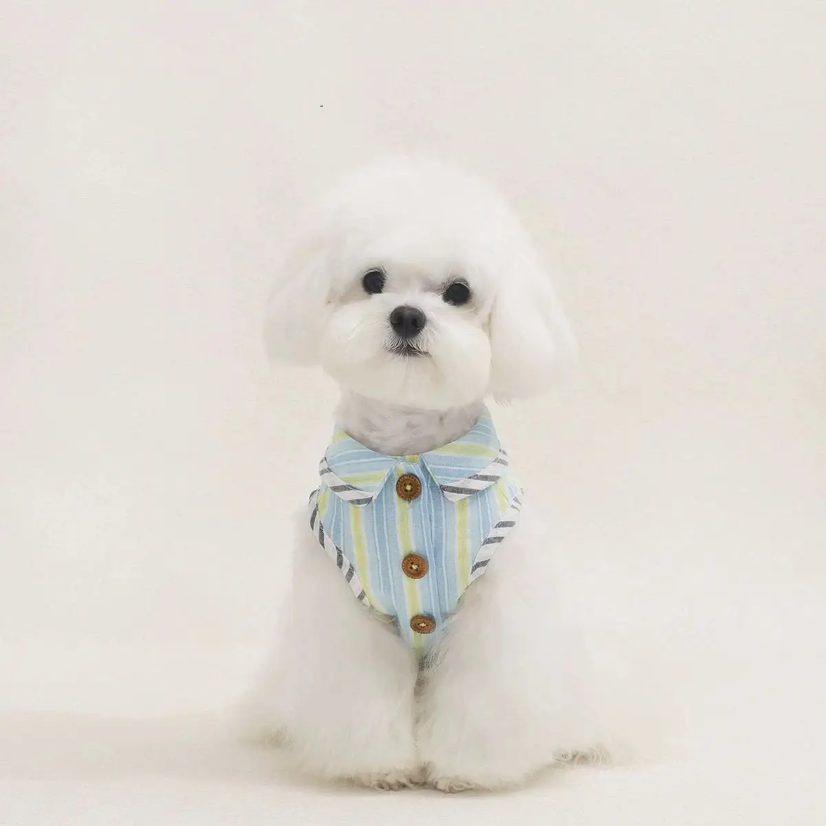 Chaleco camisola refrigerante sin mangas para Schnauzer y Teddy - imagen 2
