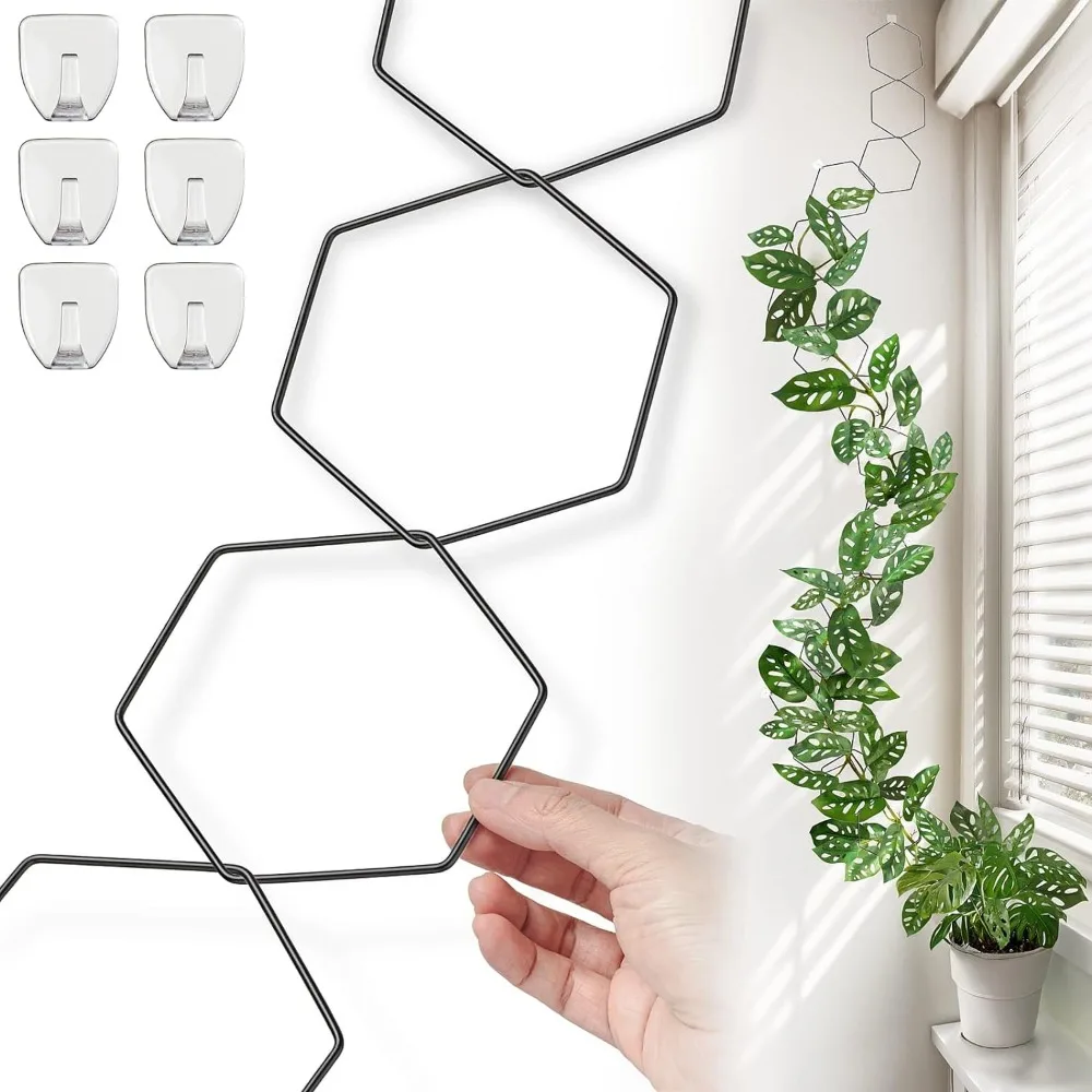 Kettenspalier für Kletterpflanzen – Innen- und Außenunterstützung für Monstera, Pothos, Ivy |   Zubehör für Gartenwandrebe und Pflanzen Gi
