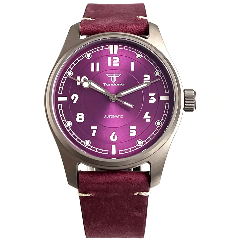 

39mm Titanium Pilot Watch Purple Face Automatic Mechanical Miyota 8215/Asia 2824 Movement 20ATM Sapphire Glass Tandorio