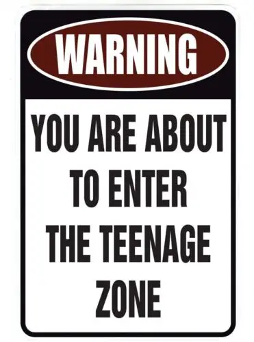 1e,You Are about to Enter the Teenage ZONE sign Metal funny man cave decor D1175