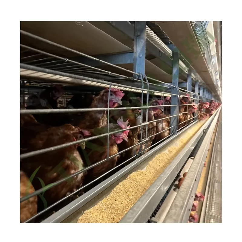 

New Automatic Poultry Farm H Type Battery Chicken Layer Cage for Laying Hens with Galvanized Steel