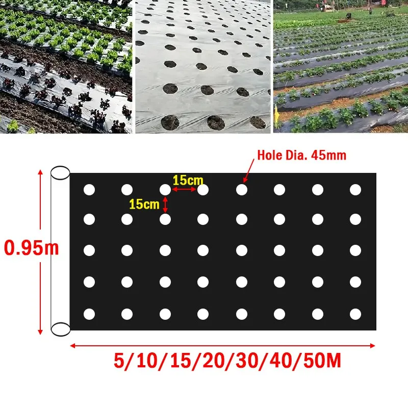 5 ~ 50M paleta perforada Control de malezas película agrícola pavo de cría parche vegetal para agujero de crecimiento de fresa de tomate diámetro 45mm, 0,02mm