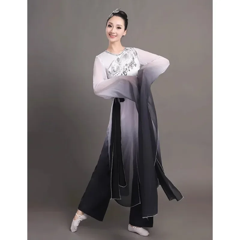 Costume da performance di danza Hanfu con maniche ad acqua da donna Danza classica per uomini e donne, abito da performance di danza con inchiostro, maniche lunghe da donna