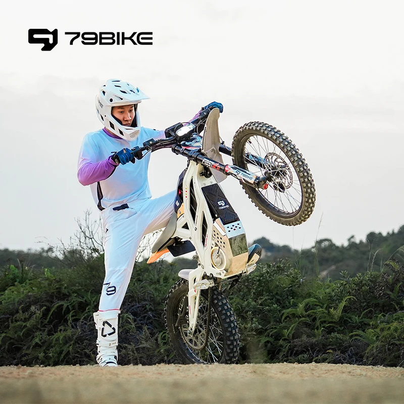 79 BIKE Falcon GT Electric Dirt Bike EU Stock 2880WH 16.8KW High Power 79 Bike Falcon Pro Motocicleta De Cross Enduro Motorcycle