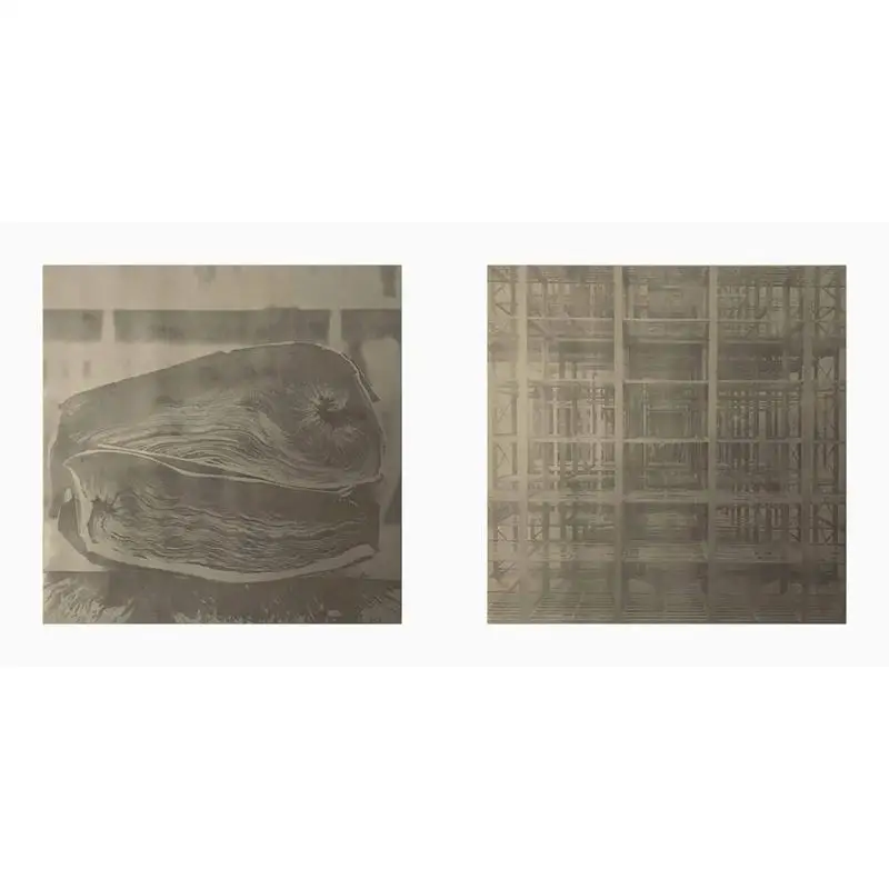 جائزة Dayanita Singh Sea of Files Hasselblad 2022 كتاب Stefan Jensen Steidl 9783969991541 #5