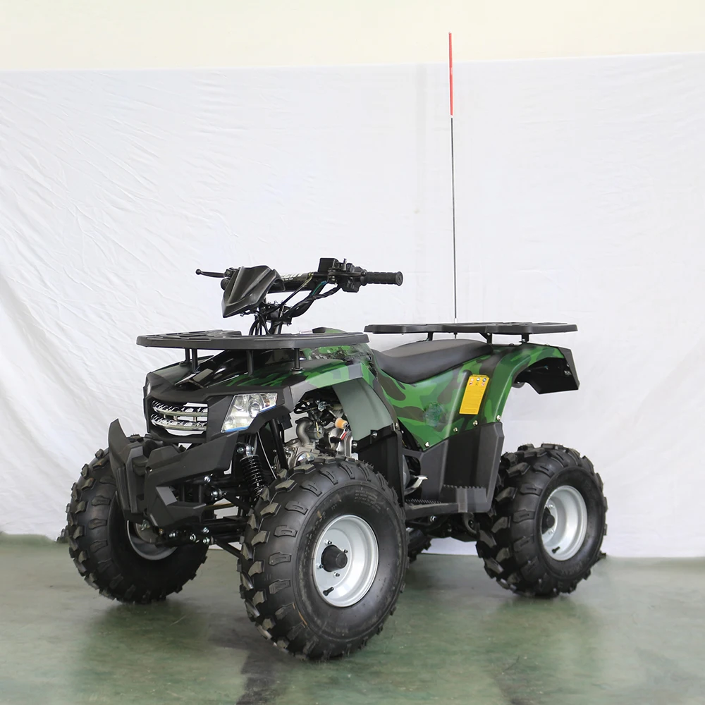 

4 Ruedas De 125cc Quad Atv Adult 125cc Quad Bike Atv