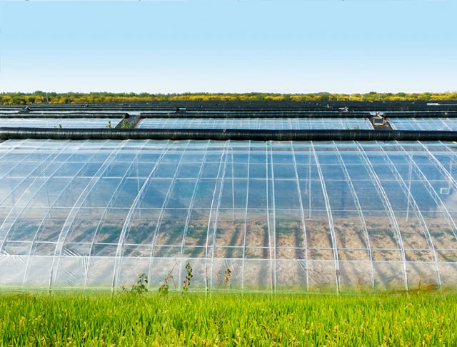 200 Micron PE Greenhouse Film UV Resistant Anti-Drip Light Diffusion Double Layer Agricultural Plastic Cover for Garden Shed