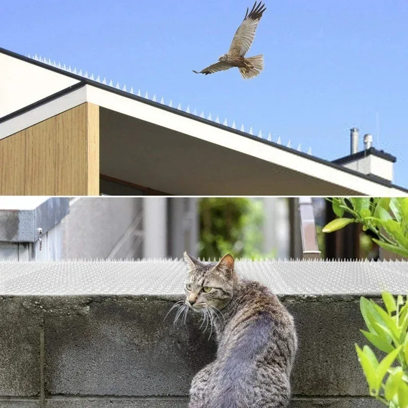 PET transparent rainproof and anti cat sting protective nail suitable for indoor and outdoor pigeon squirrel anti cat sting mat