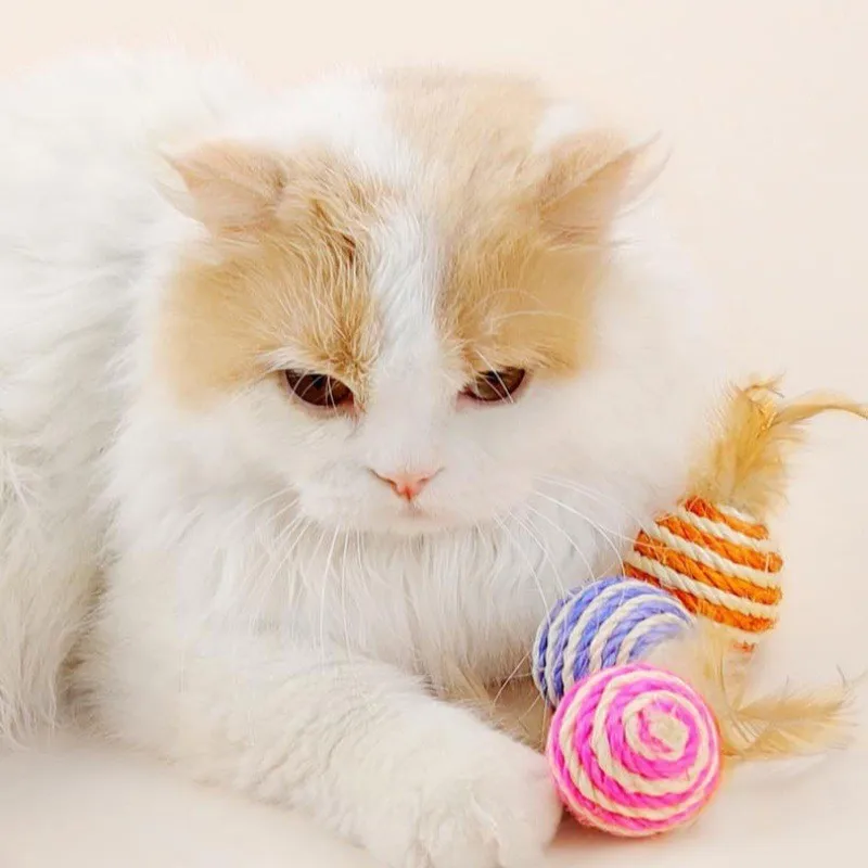 

Sisal Ball with Feather Cat Toy Self-Entertainment Durable Chewable Interactive Toy Pet Supplies