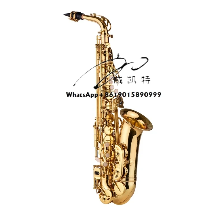 

AS100 Eb Alto Saxophone Brass Lacquered Alto Sax Wind Instrument with Carry Case Gloves Straps Cleaning Cloth Brush
