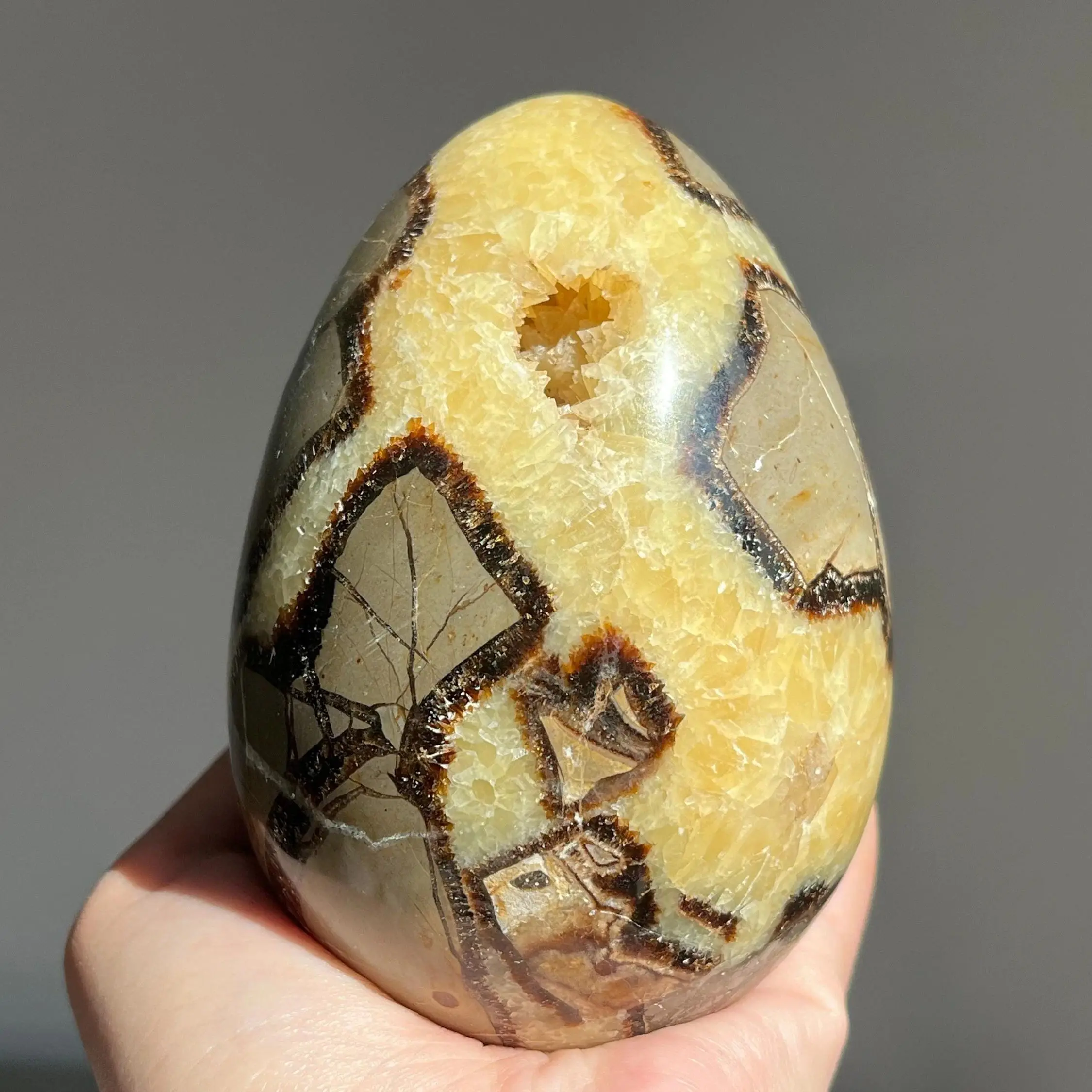 High-Quality Turtle Back Stone Egg, Natural Septarian Crystal Egg, Polished Healing Mineral Home Decor Ornament Gift