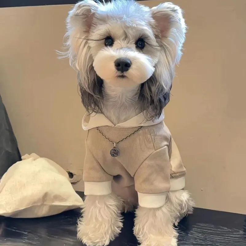 Autumn and Winter New Dog Clothes Thickened and Warm Dharma Dou Schnauzer Bixiong Teddy Shiba Dog Cat Sweater Coat image 2