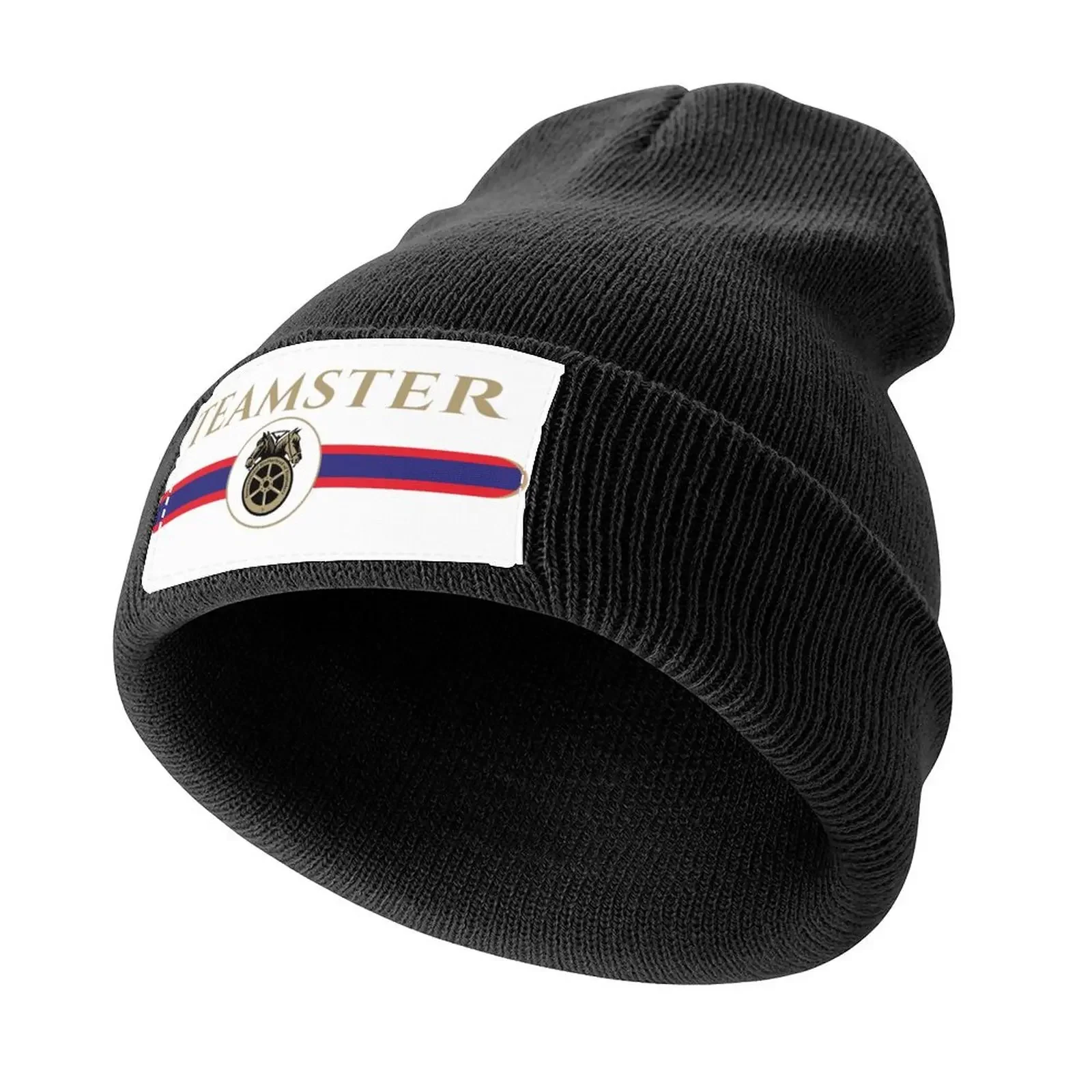 Teamster Gift, Union worker gift idea Knitted Cap foam party Hat Hat Baseball Cap Luxury Woman Men's