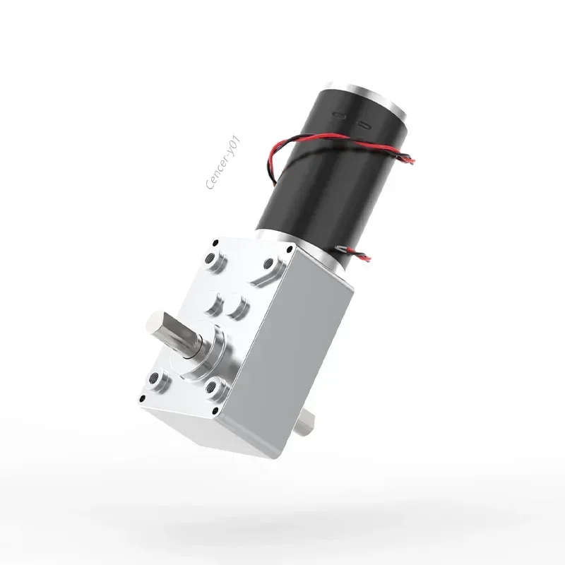 5840-31zy Schnecken getriebe Gleichstrom motor 12 v24v 5 U/min-470 U/min einstellbare Drehzahl Rückwärts selbstsicher nder Doppelwellen-Getriebe motor mit hohem Drehmoment