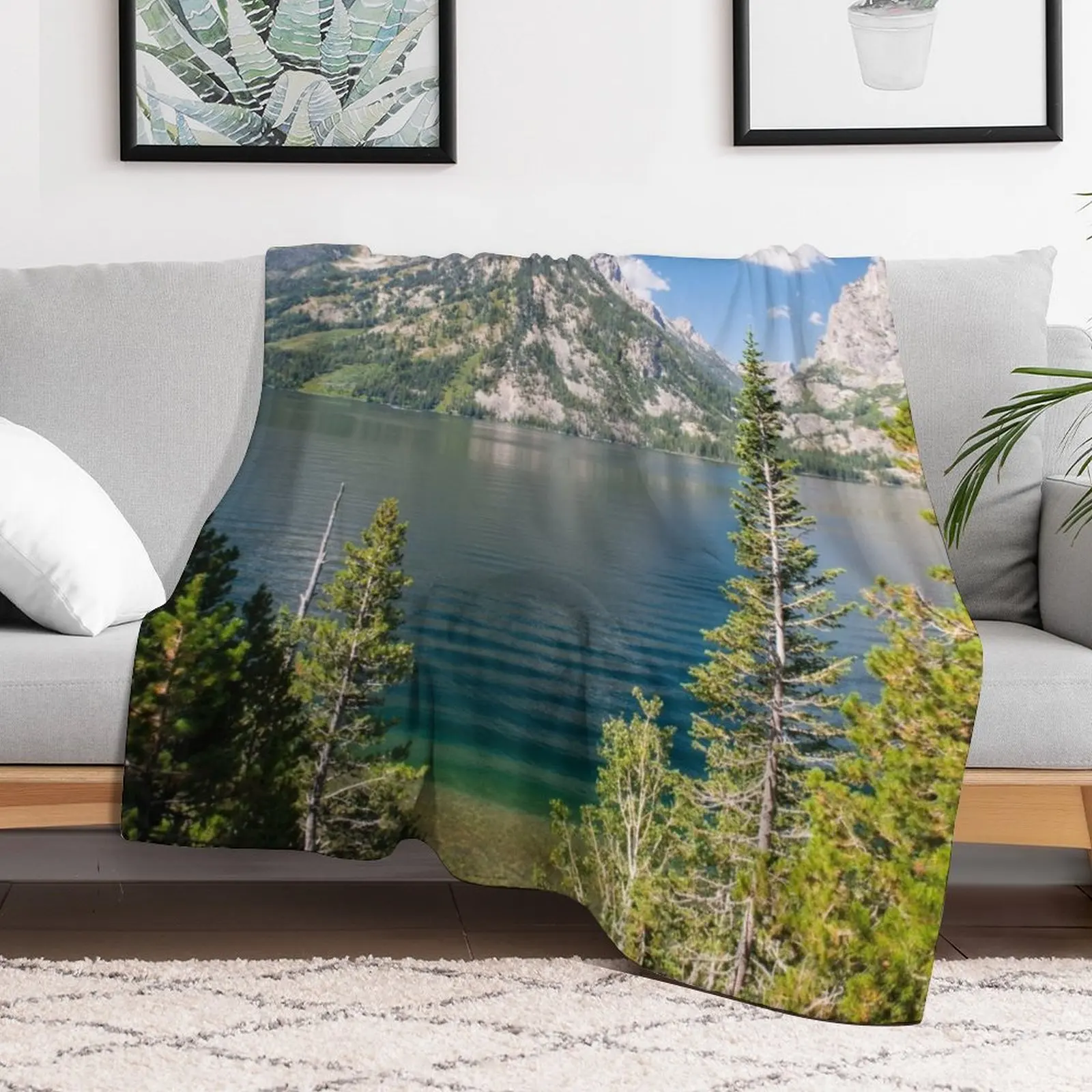 Jenny Lake, Grand Teton National Park Wyoming Throw Blanket Modern Design Soft Blanket for Home Decor