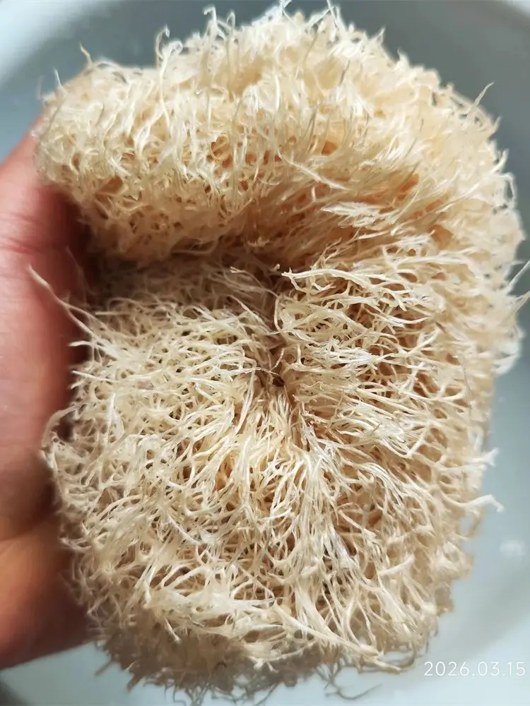 1szt Naturalna gąbka Loofah Wielofunkcyjne narzędzie do czyszczenia kuchni Łazienka Szorowarka do codziennego czyszczenia Szorowarka do ciała Spa — zdjęcie 2