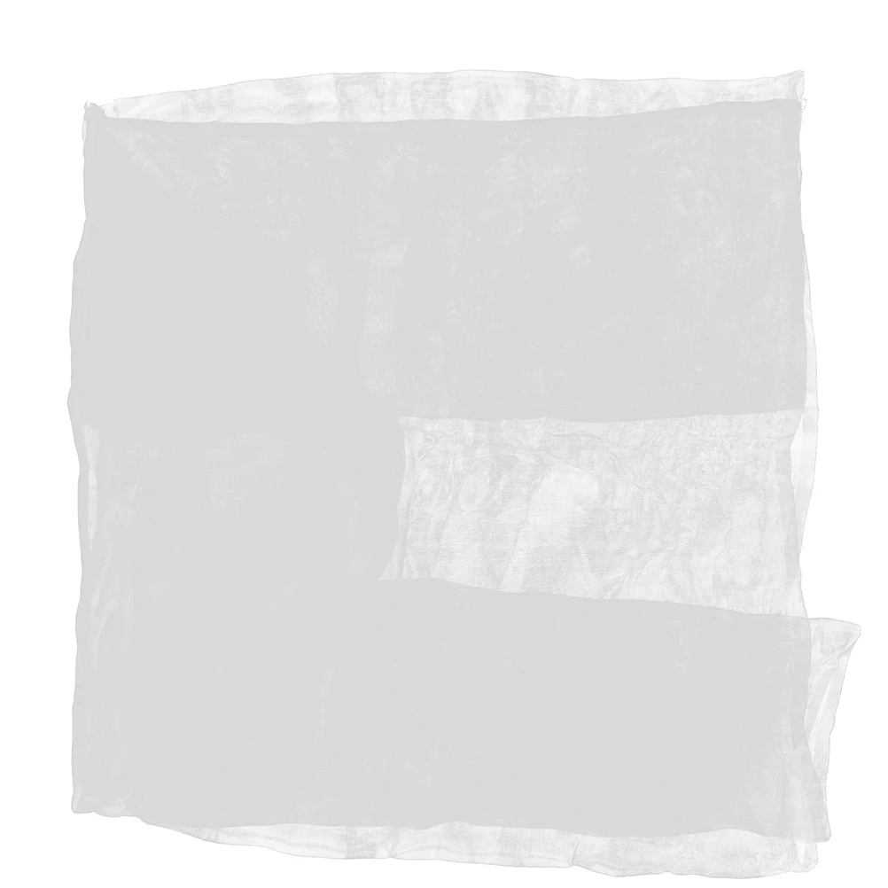 

Anti Bird Net Garden Netting for Tree Mesh Polyethylene Prevention Covering Cicadas Insect