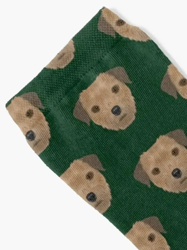 Border Terrier Socks shoes basketball kids Socks Male Women's