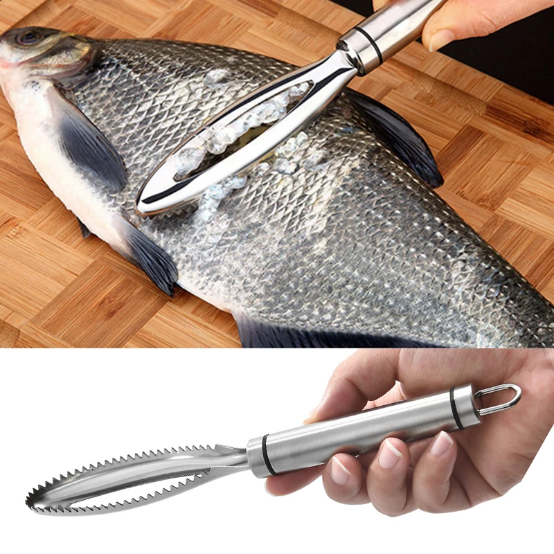 

Efficient Fish Scales Scraping Stainless Scaler For Fish Cleaning Tools Fish Skin Brush Scraping Remover seafood tools