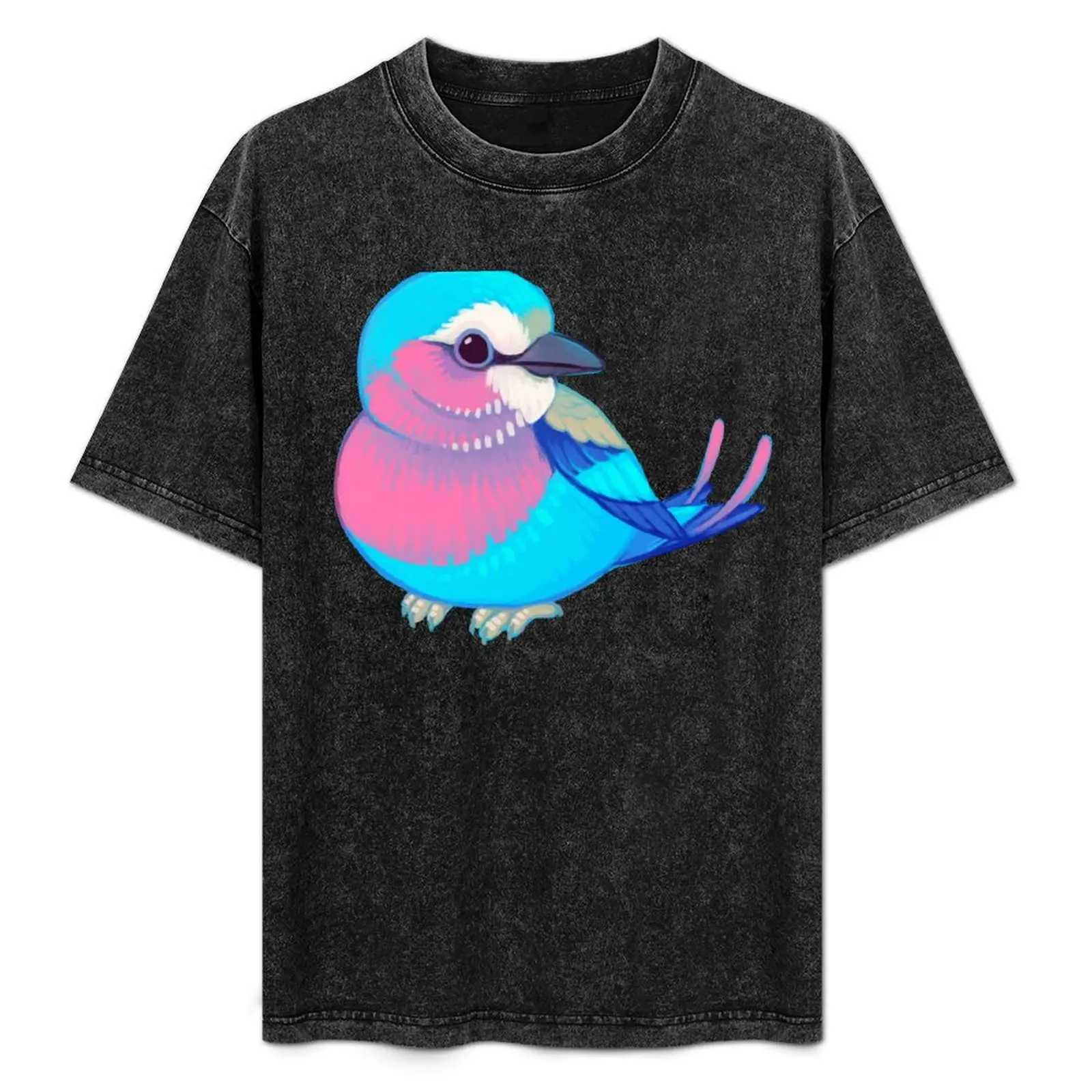 Pride Birds: Lilac-Breasted Roller T-Shirt vintage graphic tee shirts graphic tees blanks vintage t shirt men