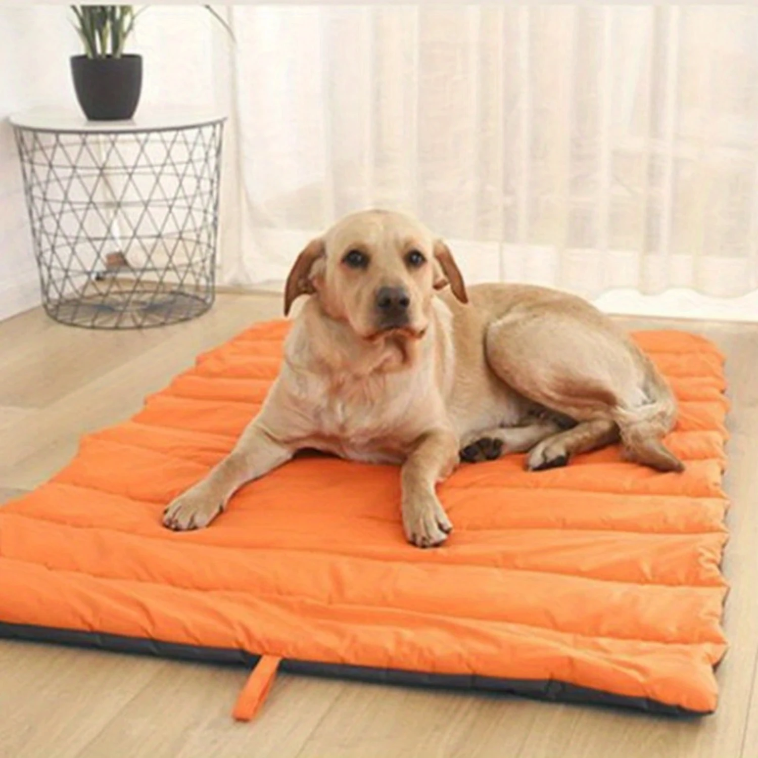 Waterproof Portable Pet Mat for Dogs & Cats - Easy Clean, Reversible Design with Carry Bag - Ideal for Outdoor Camping.