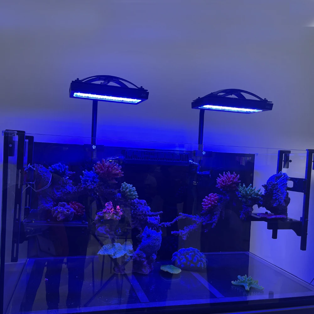 Lumière LED pour aquarium mari - Aquarium Marine Blue avis et prix