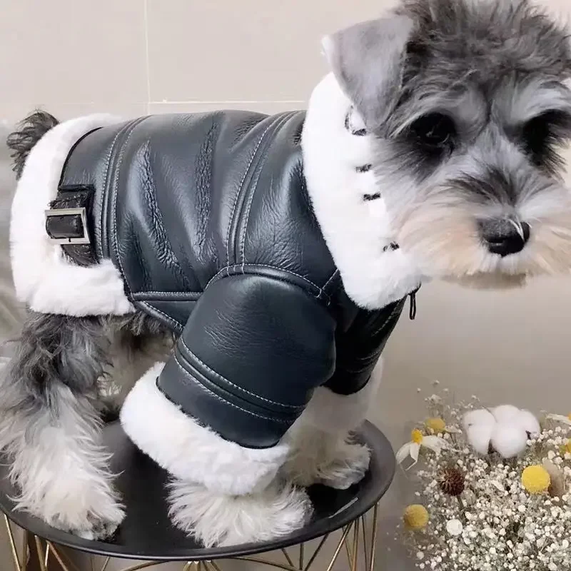 Leather Motorcycle Jacket Coat Pet Clothing Dogs Thicken Dog Clothes French Bulldog Fashion Autumn Winter Black Boy Mascotas