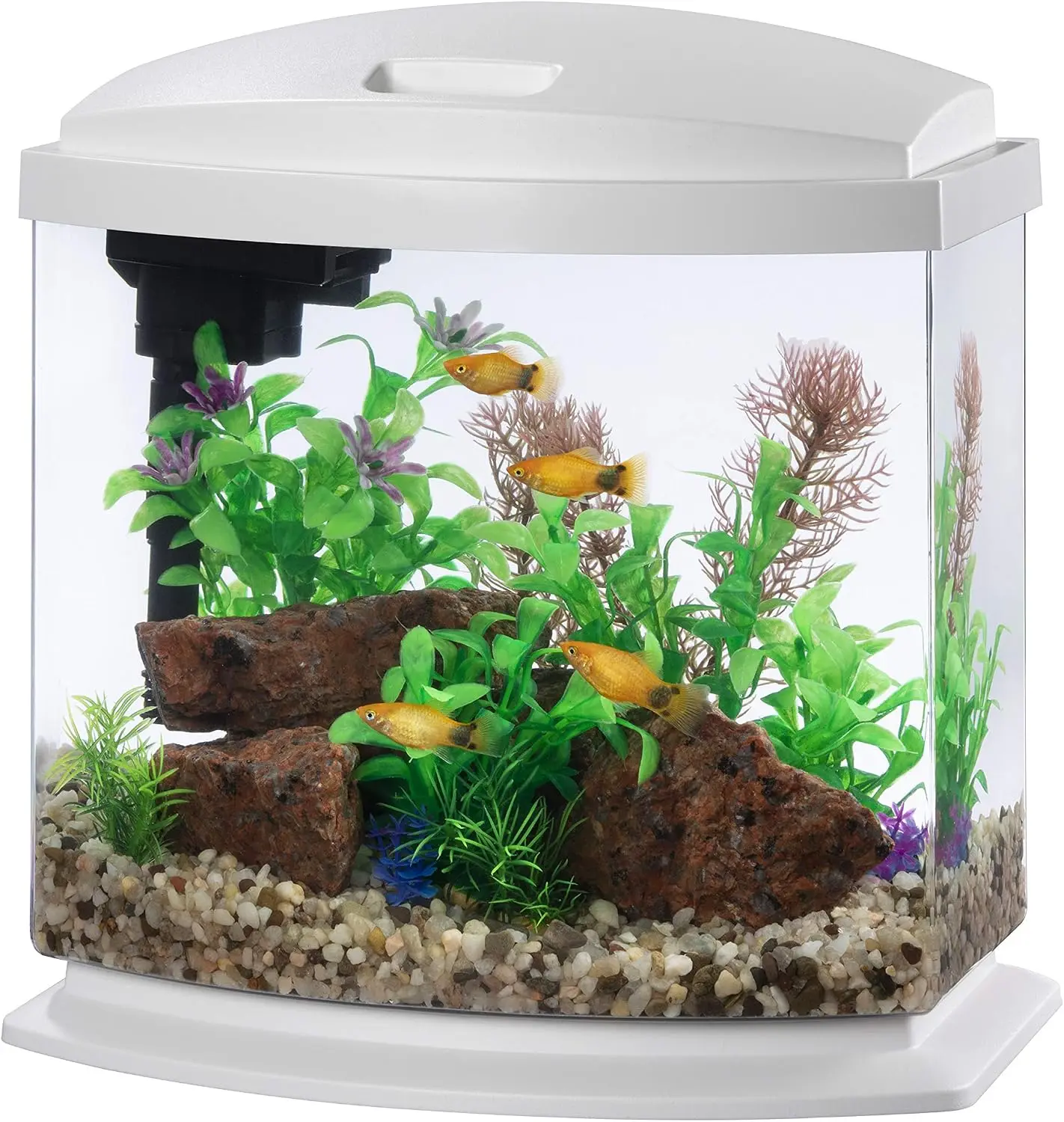 2.5 Gallon Small Aquarium Fish Tank Kit with LED Lighting and Smart Cleaning Technology, White, for Small Fish
