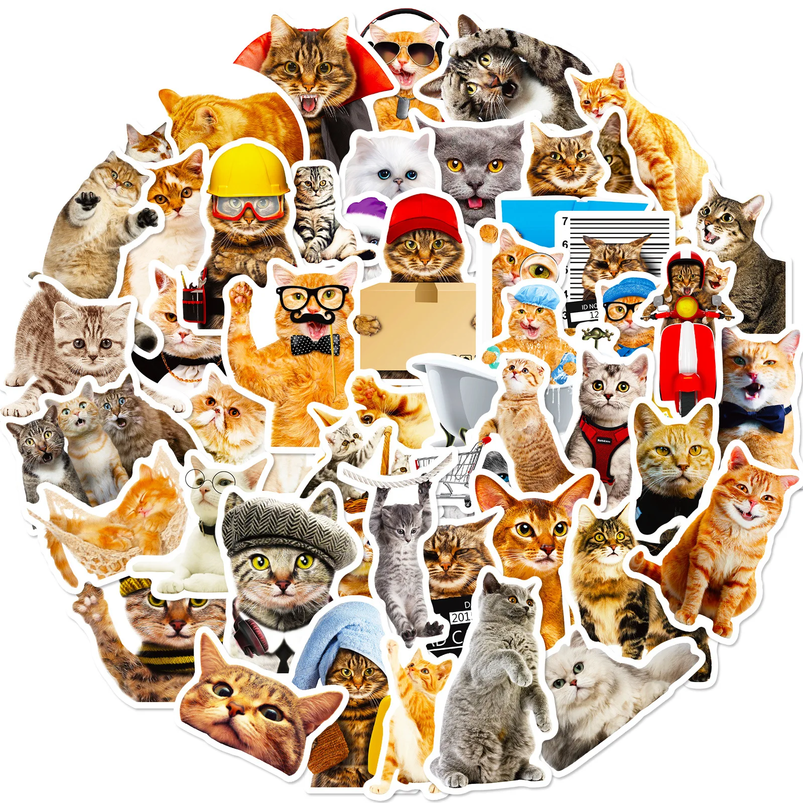 10/30/50PCS Cartoon Realistic Cat Sticker Graffiti iPad Desk Notebook Helmet Computer Pattern Scrapbook Toy Decoration Wholesale