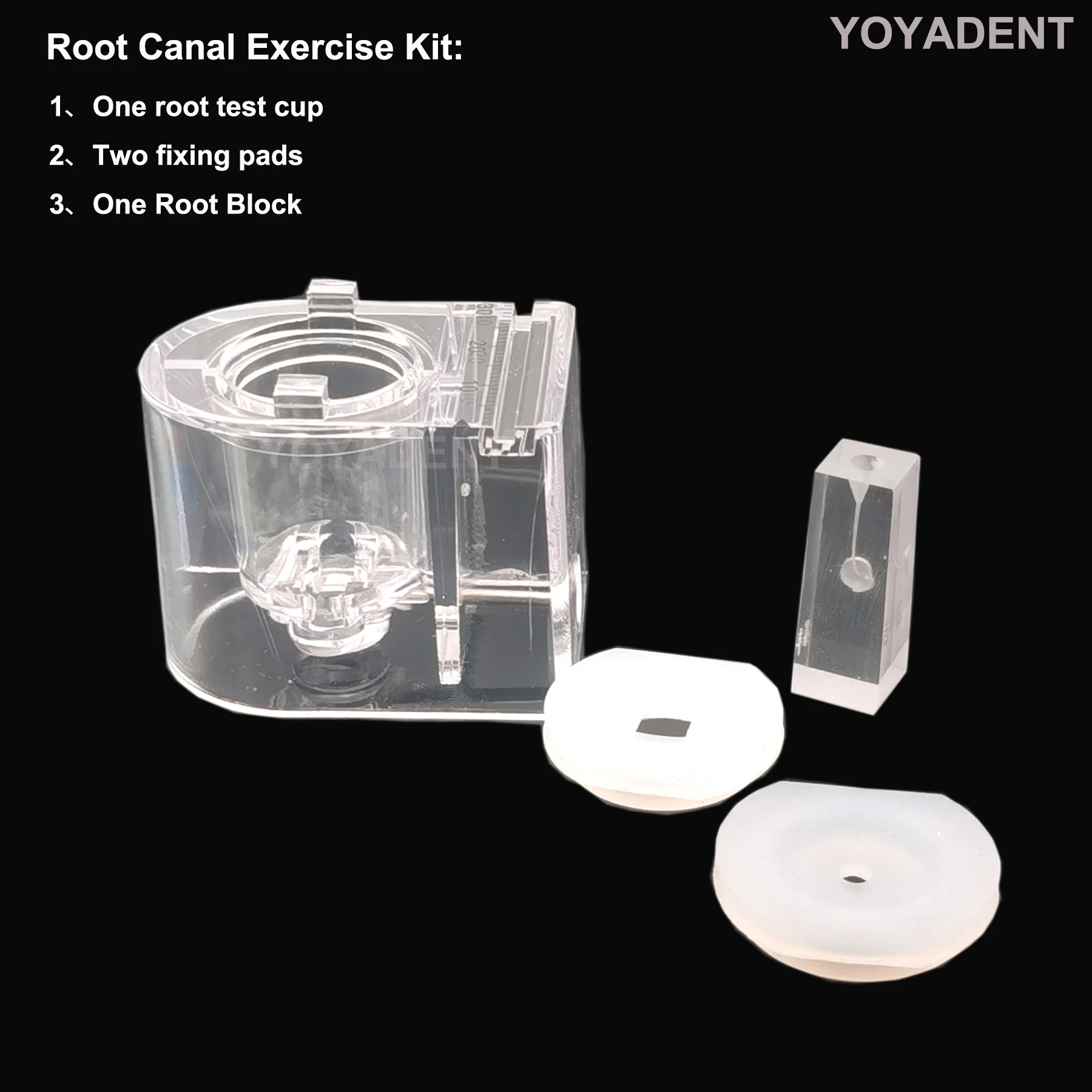 Fit All Kinds Root Testers Dental Teeth Root Canal Training Model Simulation Oral Root Canal Treatment Practice Instrument