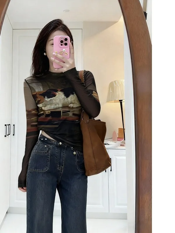

plus Size Women's American Print Elastic Net Long Sleeve T-Shirt Slim Fit Base Shirt Spring Casual Style Skin-friendly Br...