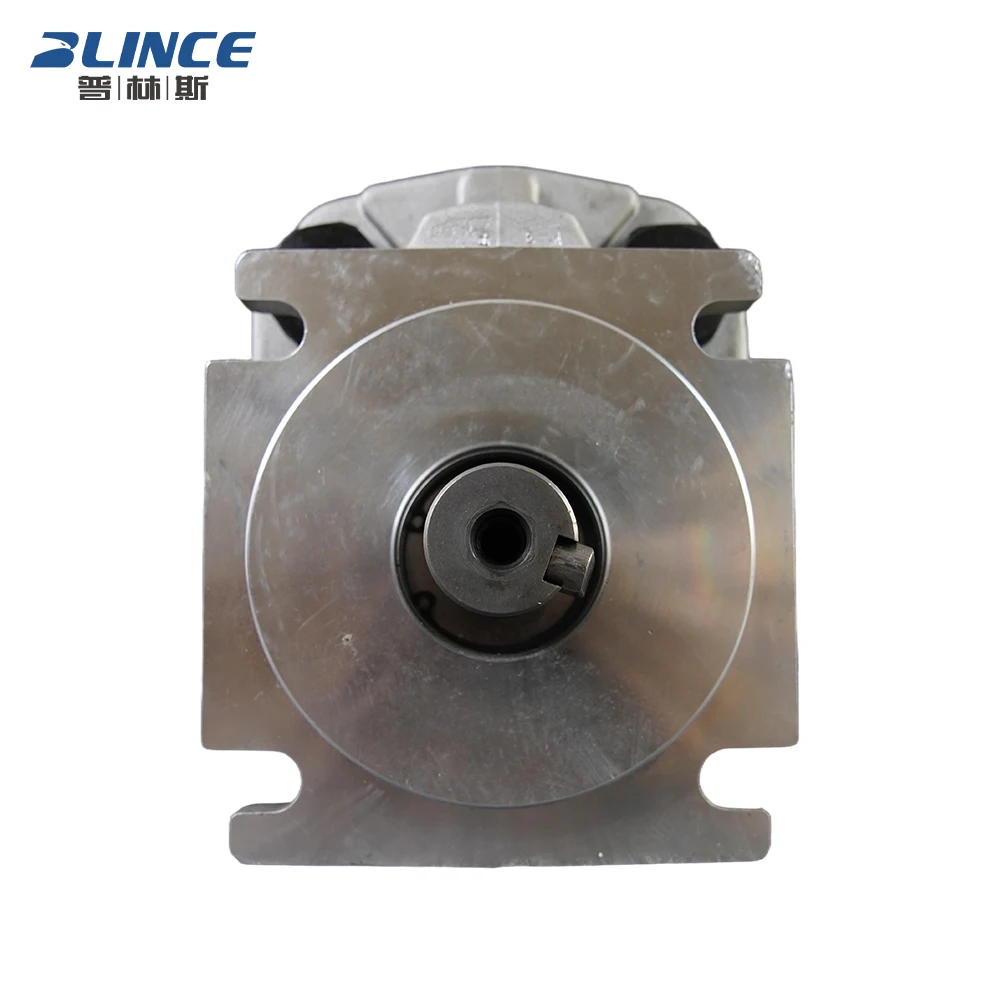 Blince 63cc 80cc 100cc CBKP-50-BLPR Heavy Duty Hyva Dock Leveler Hydraulic Pump Bombas Hidrulica Road Roller Hydraulic Gear Pump