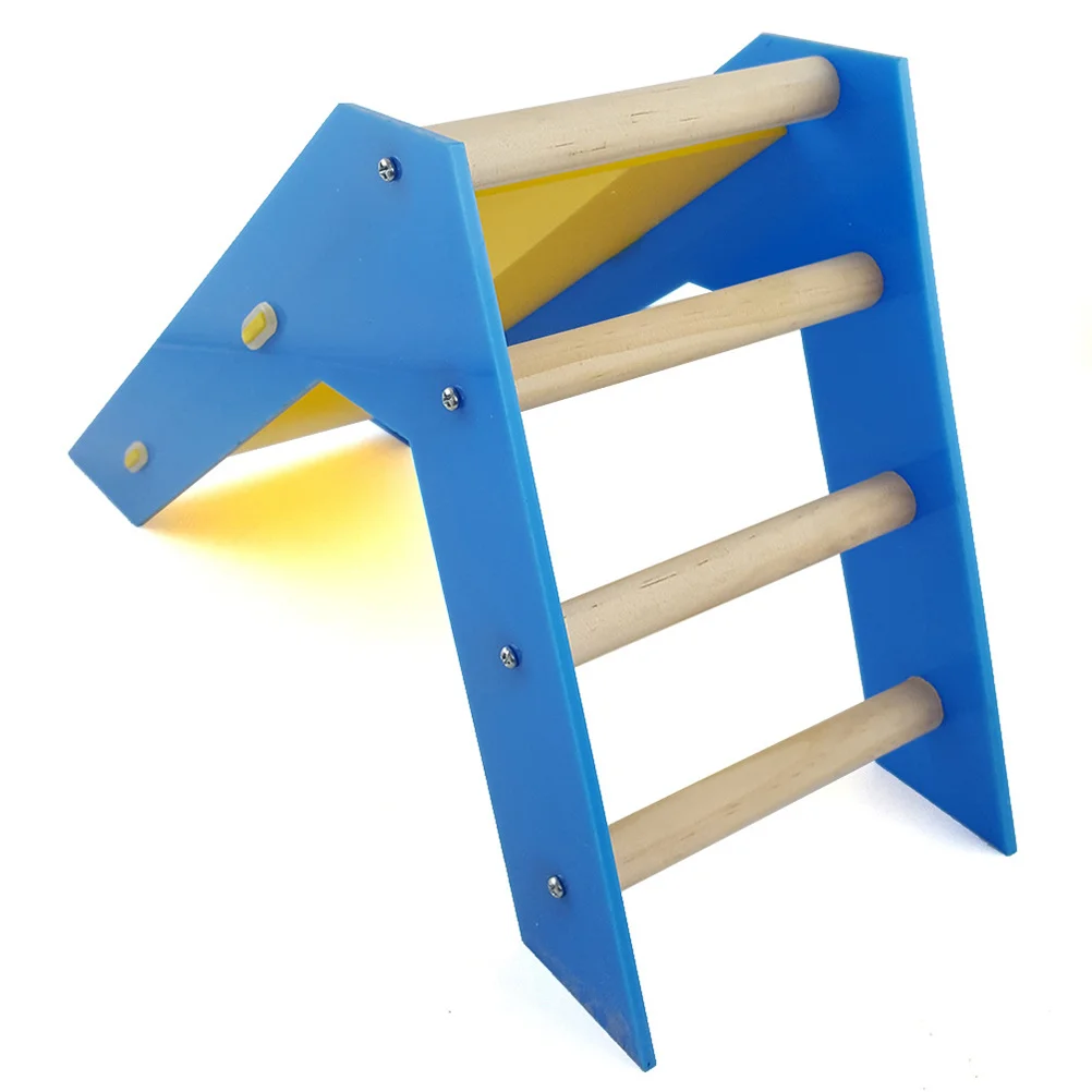 

Mini Slide Ladder Parrot Skill Training Playground Bird Climbing Educational Bright Color Design for Small Birds Development