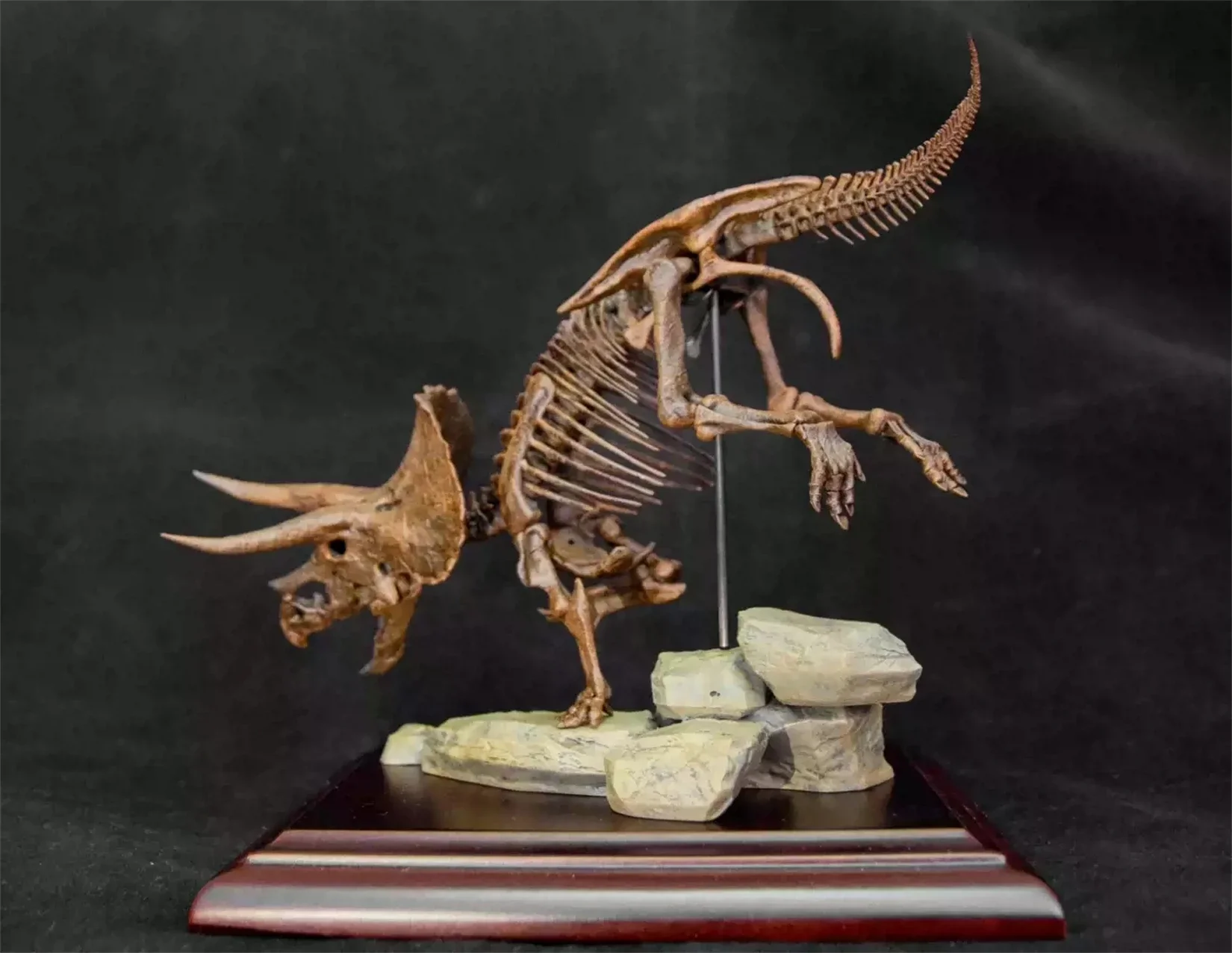 VWUVWU 1/35 Triceratops Skeleton Skull Model Animal Fossil Dinosaur Figure Collector Educational GK Desk Decoration Gift Painted