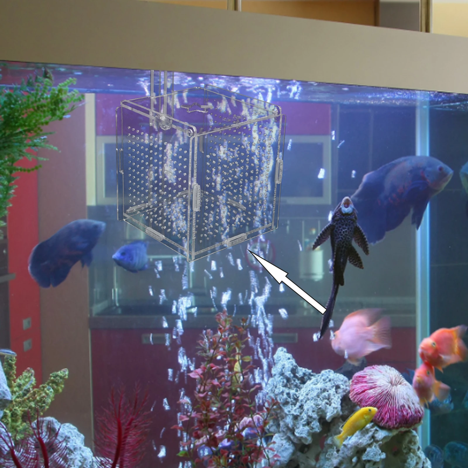 

1Set Aquarium Isolate Box Acrylic Fish Breeding Box Stable Easy Clean Fish Tank Hatching Incubator Isolation Holder Transparent