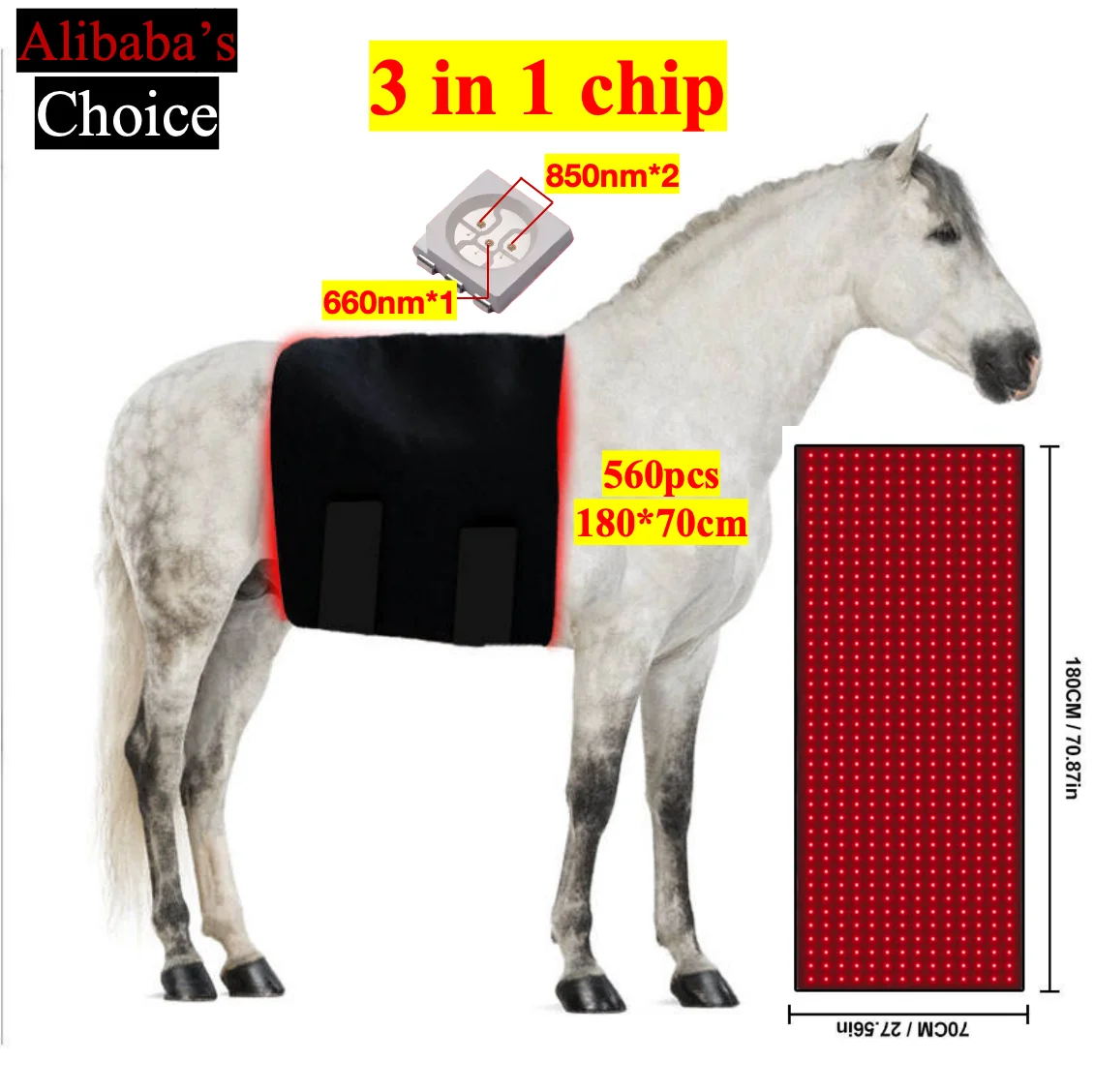 AQSHE 560 Pcs Equine Horse Leds Red Light Therapy Dog Led Therapy Veterinary Physiotherapy Equipment Light Therapy Pet