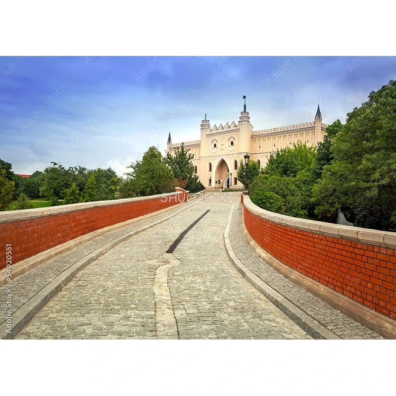Shuozhike-自然の風景写真の背景、風景、旅行城、写真の背景、スタジオの小道具、cb-01