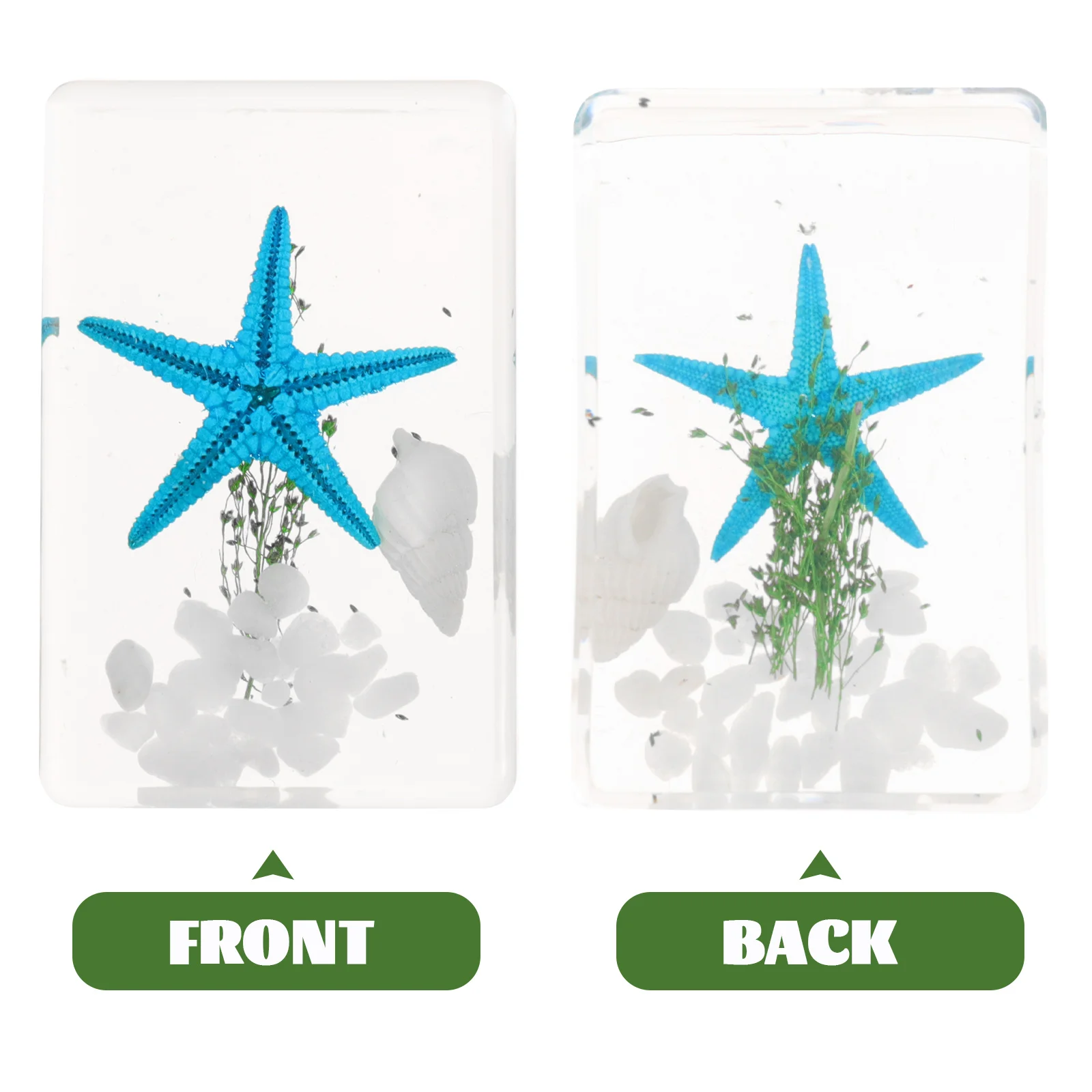 

Coastal Decor Specimen Ornaments Animals Mini Resin Ocean Figurines Manual
