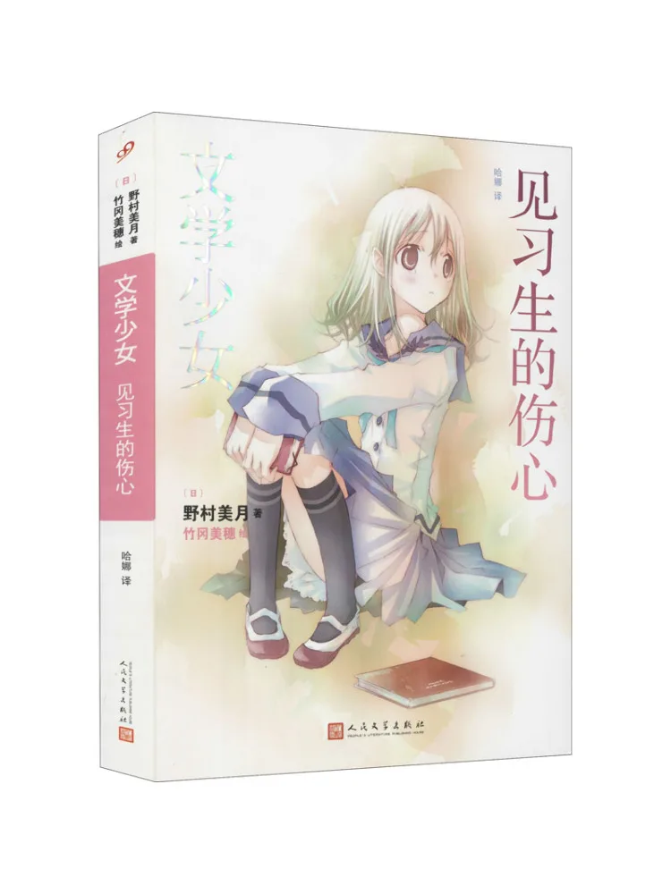 

Книга-роман «Грусть стажера»