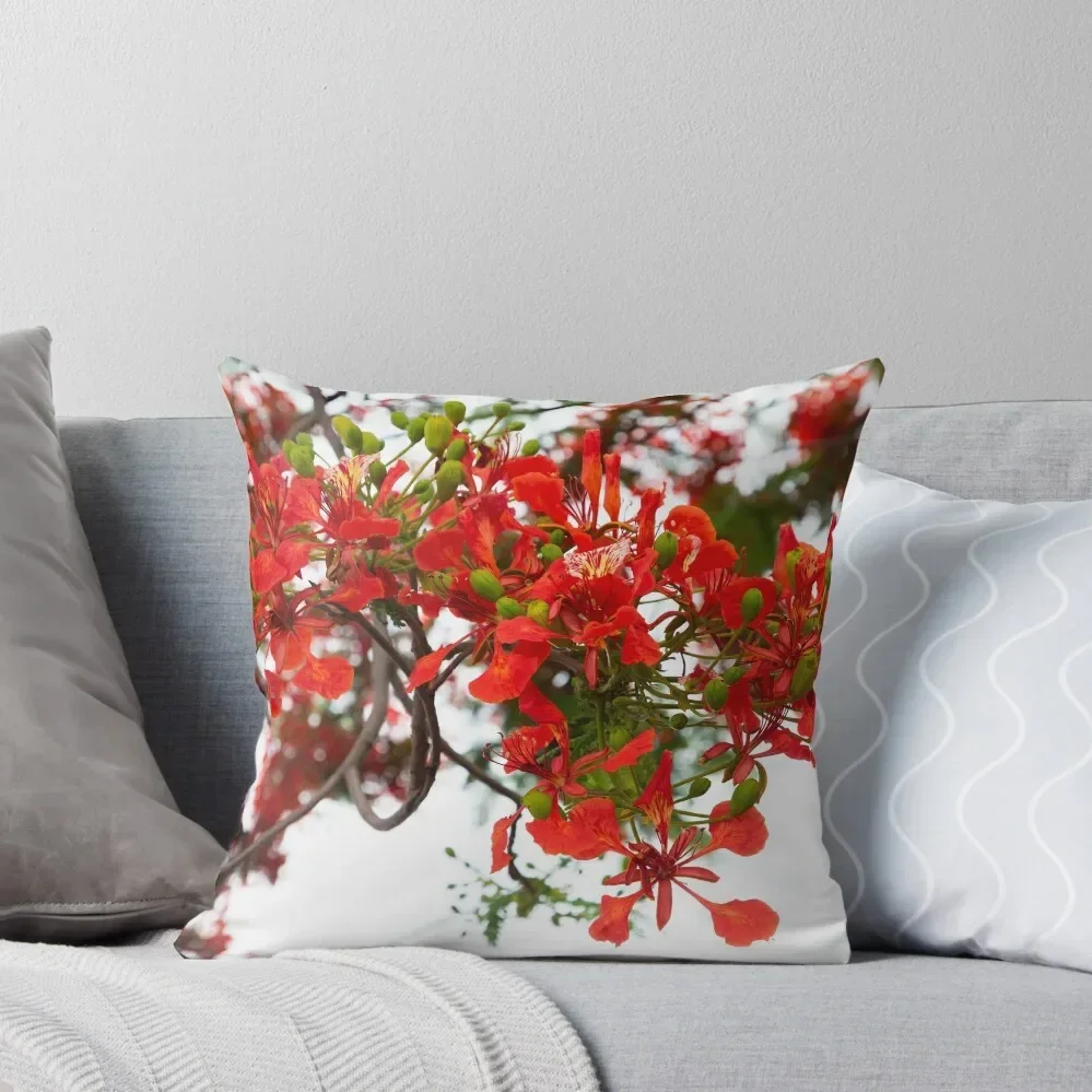 Royal poinciana, (Delonix regia), also called flamboyant tree or peacock tree Throw Pillow Christmas Pillow pillow