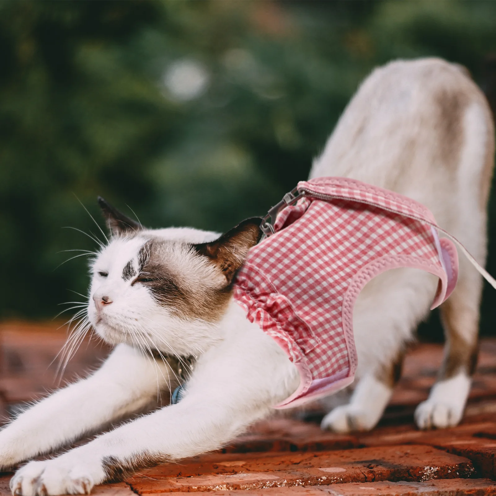 

1Set Adjustable Pet Harness Soft Mesh Leash Vest Traction Rope for Small Medium Dogs Cats Walk Training Running