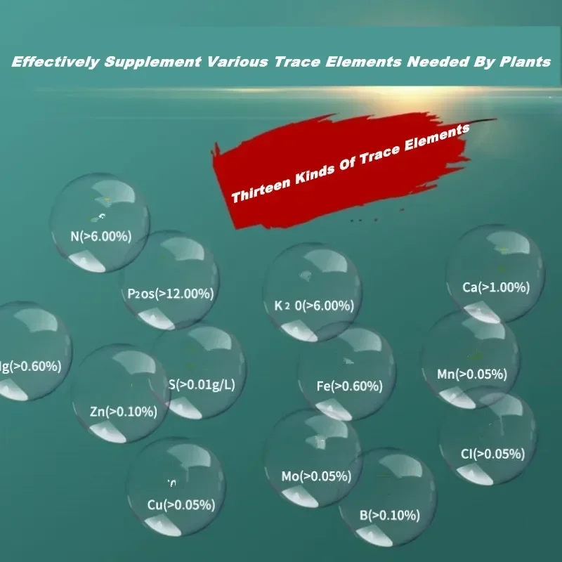 400 جرام غيبكربور تربية نباتية بونساي هورمونيا #5