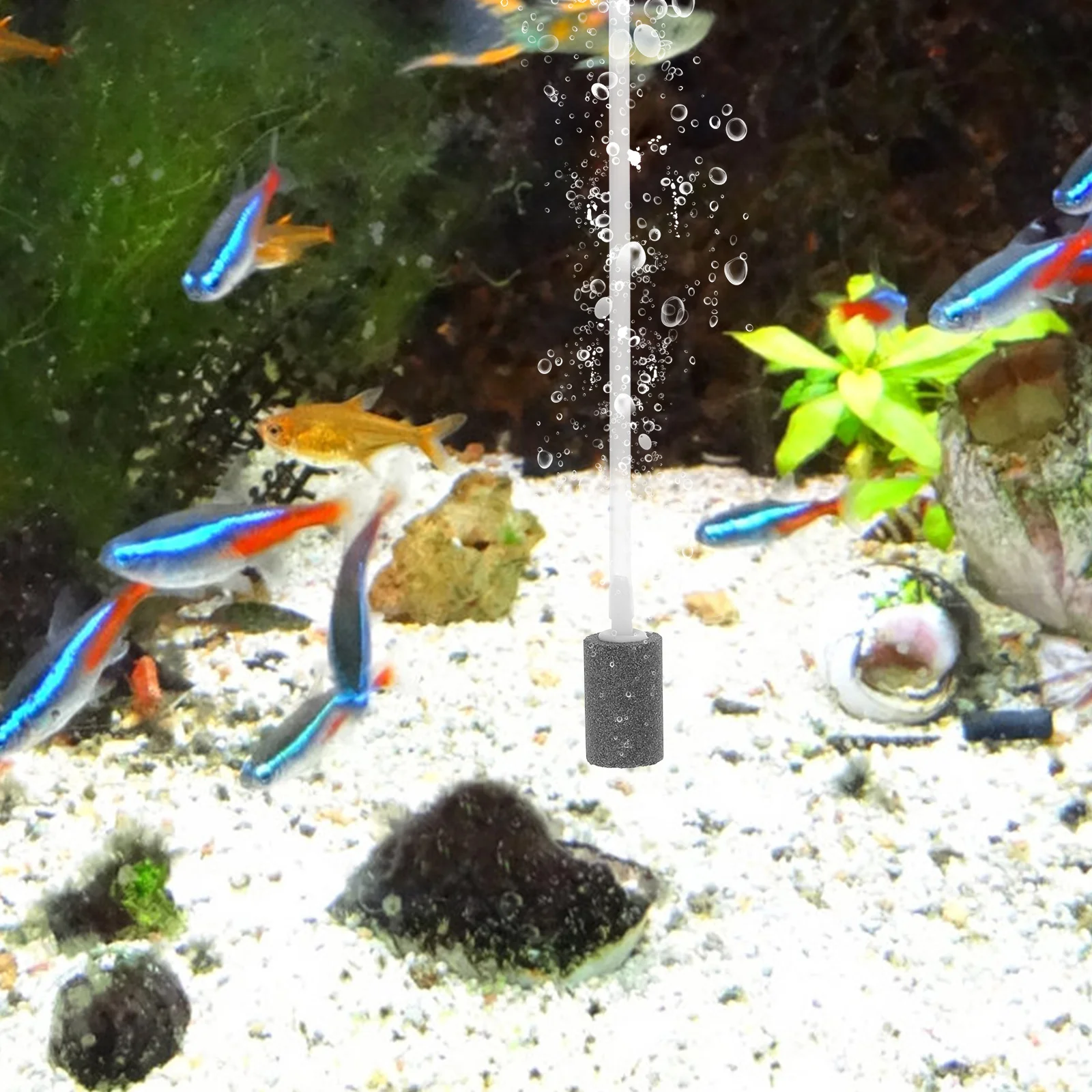 

Mini Pump For Aquarium Silent Usb-Powered Fish Tank Oxygen Air Pump Black Multi-Level Muffler Oil-Free Compressed Air Pure Wide