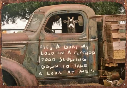 

Funny Goat Art Print, in a Truck Farmhouse Wall Art, Country Home Decor, Decor,F